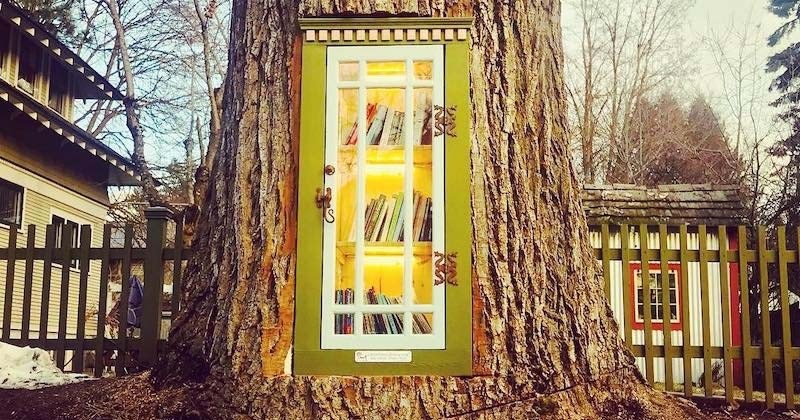 La souche de cet arbre centenaire décimé a été transformée en petite bibliothèque de rue