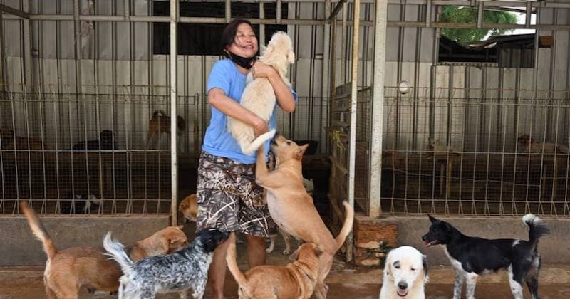Cette médecin s'évertue à sauver les chiens abandonnés et vendus pour leur viande durant la crise du coronavirus