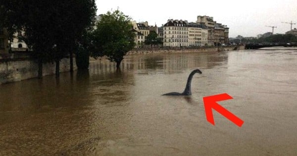 Le grand n'importe quoi des réseaux sociaux, spécial #CrueSeine !