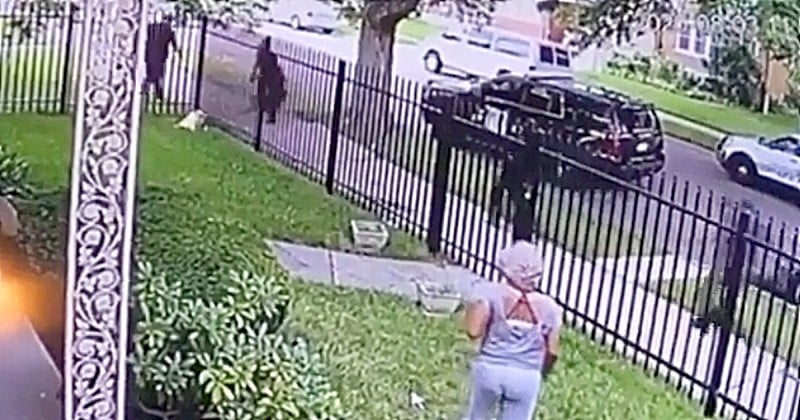 Un policier américain tire sur un chien et le tue dans son propre jardin