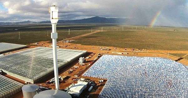 Révolutionnaire et écolo, cette ferme unique au monde fait pousser des légumes dans le désert avec seulement du soleil et... de l'eau de mer