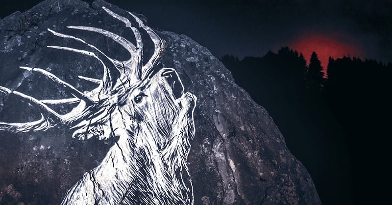 Cet artiste projette des portraits lumineux d'espèces menacées dans les montagnes françaises