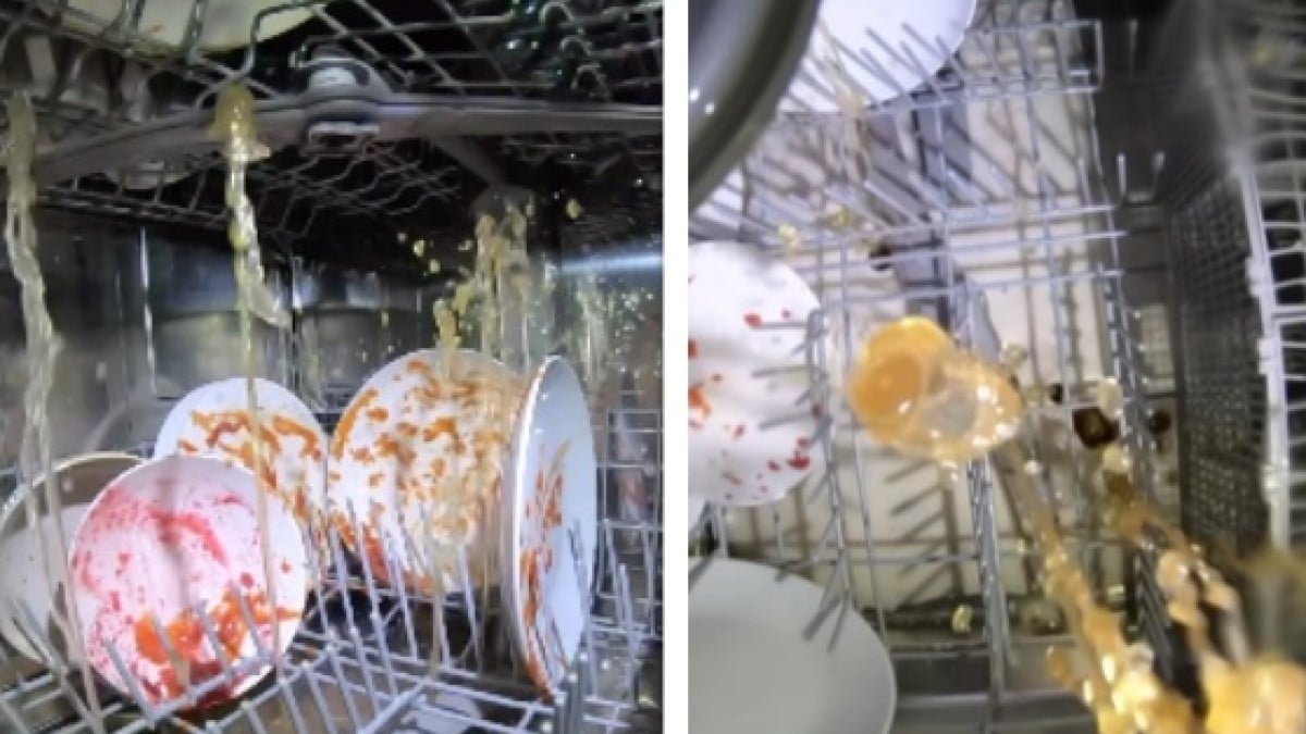 Après avoir vu cette vidéo, vous ne voudrez plus jamais laver vos assiettes au lave-vaisselle
