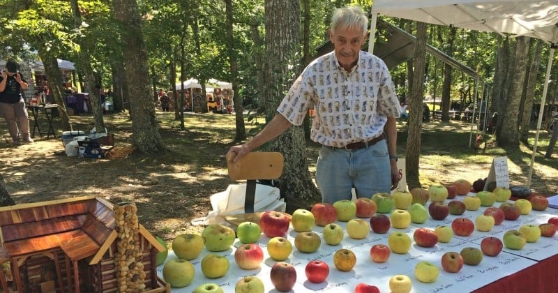 Ce retraité possède un verger de conservation avec 700 variétés de pommes les plus rares au monde