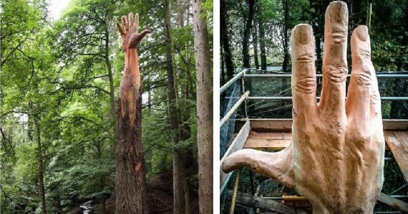 Cette sculpture d'une main dressée vers le ciel mesure 15 mètres de haut et a été faite à partir d'un arbre mort