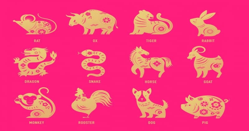 Astrologie : découvrez les signes du zodiaque japonais