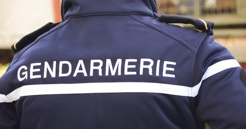 Cette « super mamie » courageuse de 83 ans fait fuir un cambrioleur