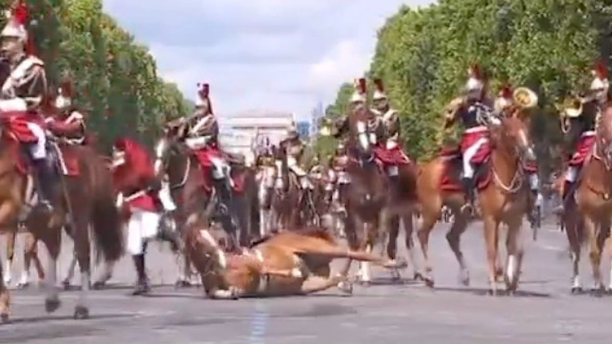  Un cheval chute lourdement avec son cavalier lors du défilé du 14 juillet sur les Champs-Élysées
