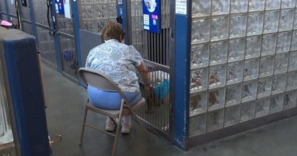 Une femme a trouvé le moyen de rendre heureux les chiens d'un refuge avec un geste très simple mais auquel on ne pense pas forcément !