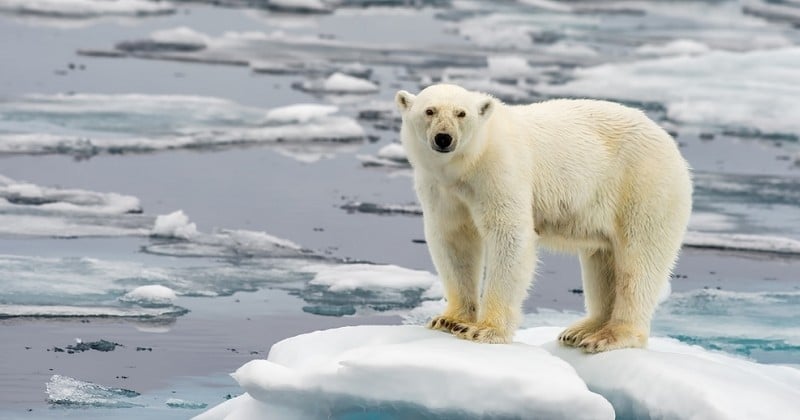 Les experts du Giec appellent à des transformations « sans précédent » pour lutter contre le réchauffement climatique