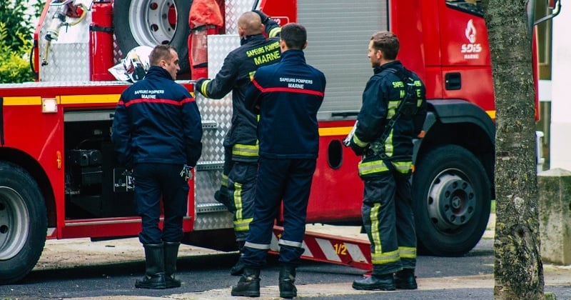 Coincé dans les canalisations de Rennes pendant trois heures, un teckel a été sauvé par les pompiers