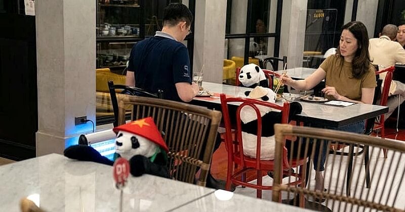 Bangkok : des pandas pour tenir compagnie aux clients et respecter la distanciation sociale au restaurant