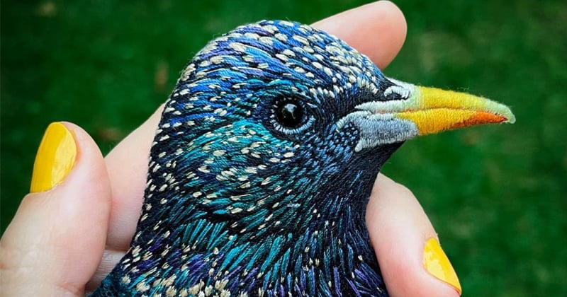 Elle crée des broderies à l'effigie des oiseaux, et le résultat est magnifique