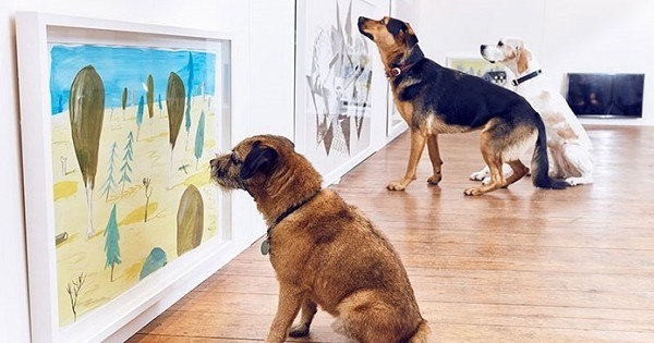 Maintenant, les chiens peuvent aussi aller au musée (et ce n'est pas une blague)