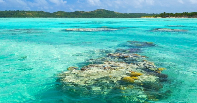 Îles Cook : la plus grande réserve naturelle marine de la planète vient d'être créée