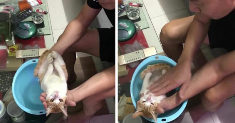 À l'aide d'un chat, ce futur grand-père explique à son fils comment laver son bébé
