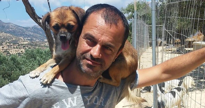 Takis Shelter, le refuge créé par un ancien dentiste qui a tout quitté pour sauver les animaux abandonnés