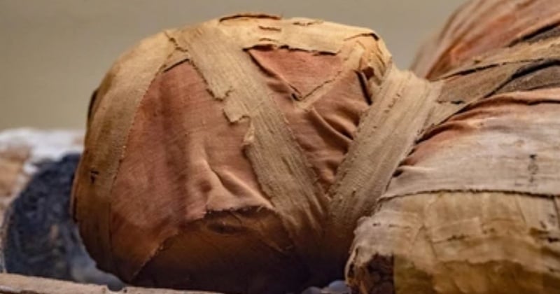 Au Moyen-Âge, les Européens mangeaient des momies pour se soigner 