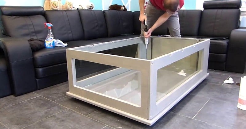 Table aquarium : une touche d'originalité dans le salon