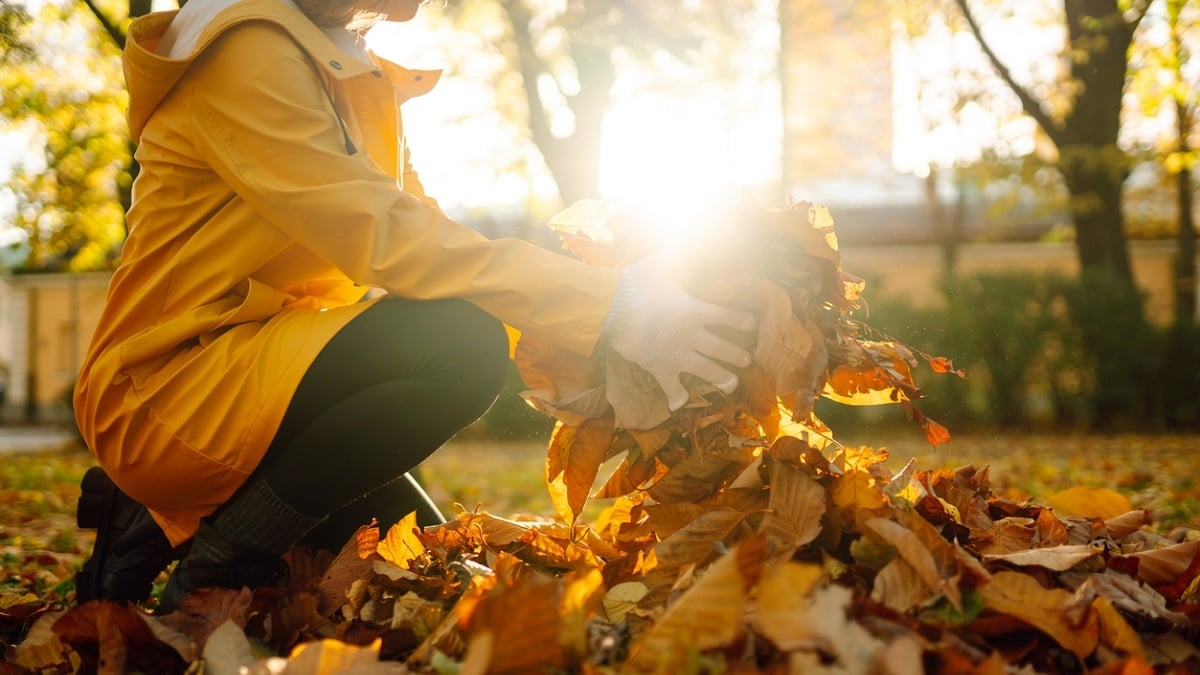 Pouvez-vous vous prendre une amende pour ne pas avoir ramassé les feuilles mortes dans votre jardin ?