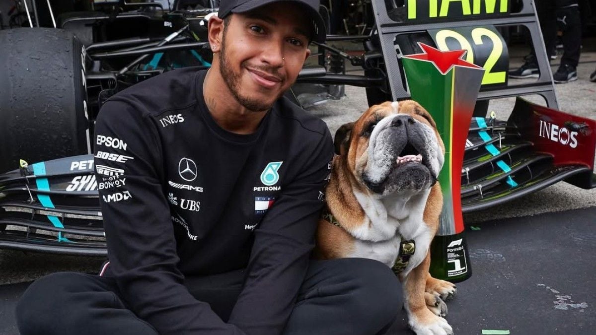 Lewis Hamilton et Roscoe