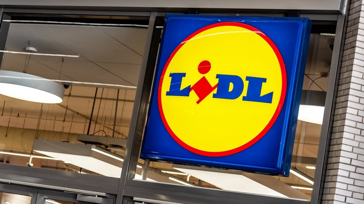 L'accessoire indispensable pour votre voiture cet été est à seulement 3,99€ chez Lidl !