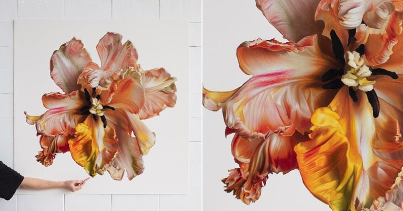 Cette artiste australienne dessine des fleurs si réalistes qu'on pourrait les confondre avec des photos