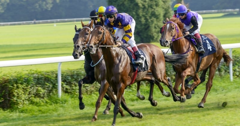 Il mise 2 euros sur un pari hippique et remporte le gain le plus élevé jamais empoché dans le Finistère