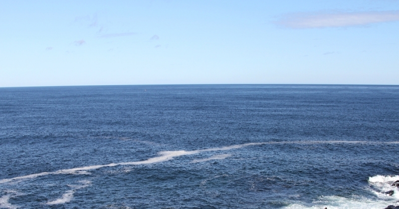 Finistère : une entreprise produit des boissons à partir d'eau de mer transformée en eau potable 