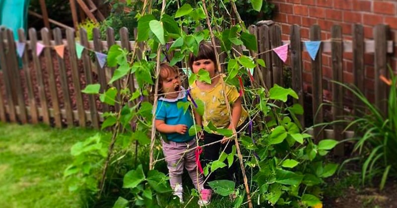 Pour faire plaisir à leurs enfants, ces personnes font pousser des tentes en haricots