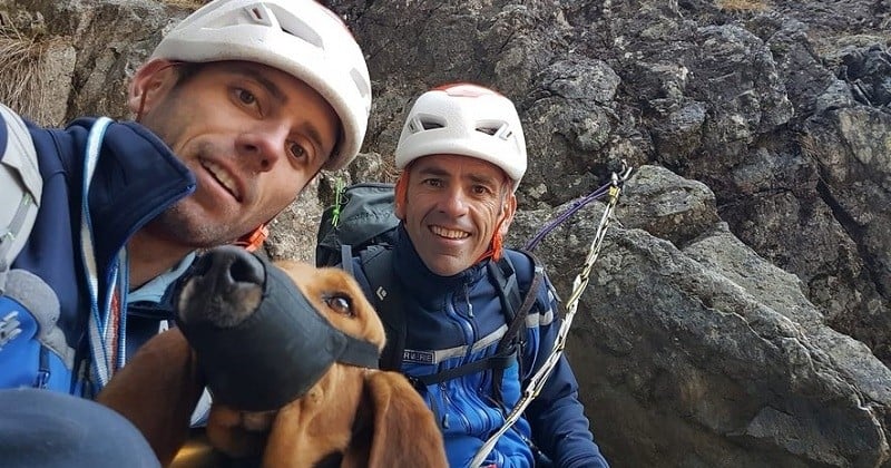Des secouristes ont mené une opération périlleuse pour sauver un chien coincé deux nuits en montagne