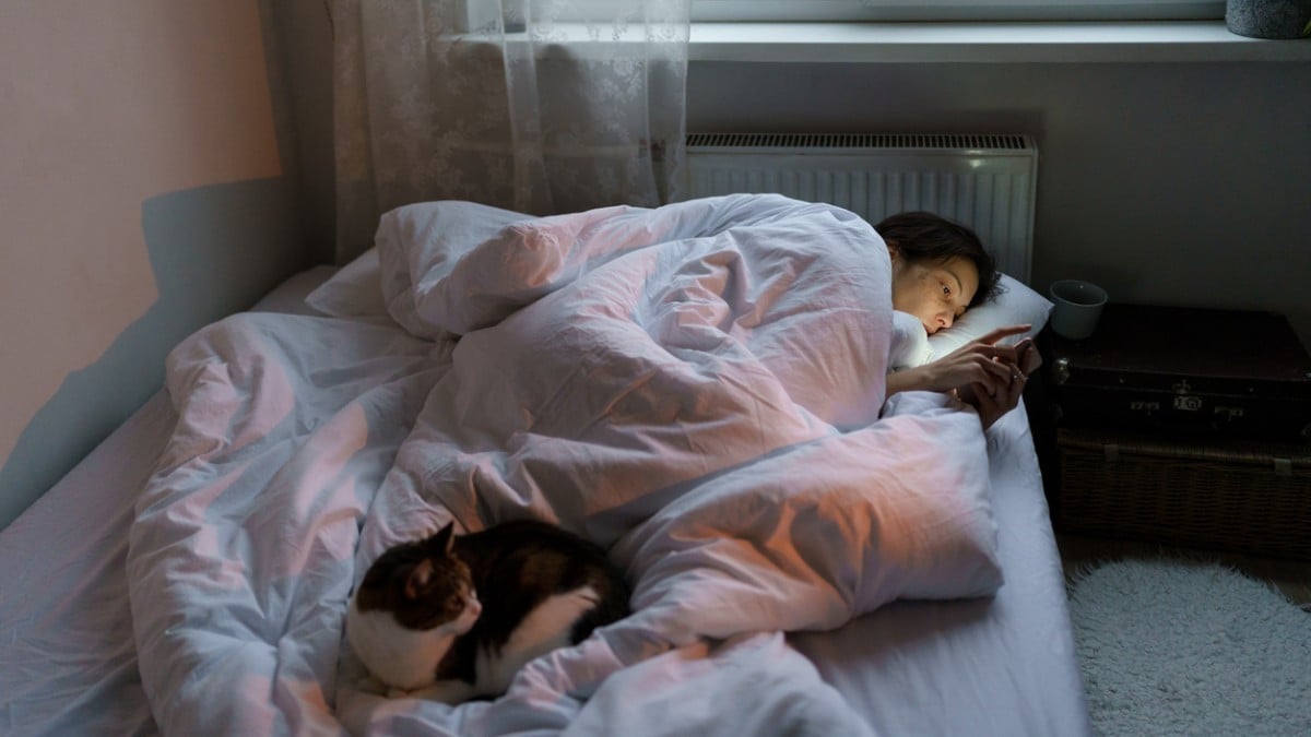 49% des Français font dormir leur chien ou leur chat dans leur chambre, selon un sondage