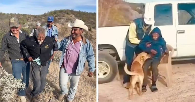 Este canino heroico llevó a los rescatistas a su dueño de 84 años que se perdió en el desierto