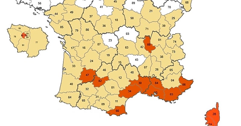 Voici le département français le plus touché par le moustique tigre en 2022