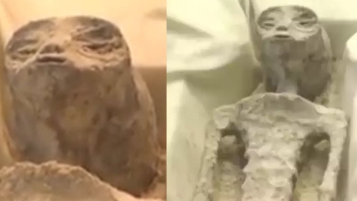 Les étranges corps “non-humains” retrouvés au Mexique sont-ils ceux d'aliens ? Une scientifique répond