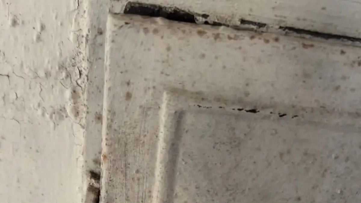 Capture d'écran Instagram 