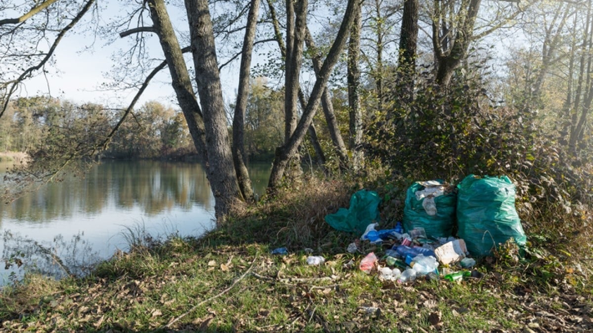 Il abandonne des déchets dans la forêt, la police le retrouve car il y a oublié... des documents à son nom