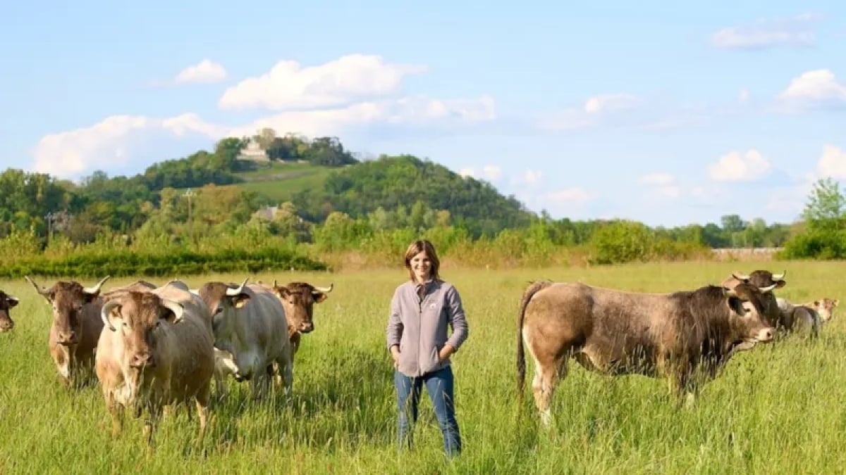Cette éleveuse lance un appel à l'aide pour sauver ses 200 vaches condamnées à l'abattoir
