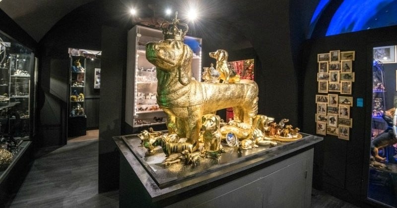 En Allemagne, un musée avec 4 500 œuvres dédiées aux teckels vient d'ouvrir ses portes