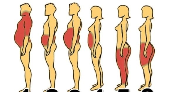 Voilà comment perdre du poids de manière efficace, en fonction de votre morphologie