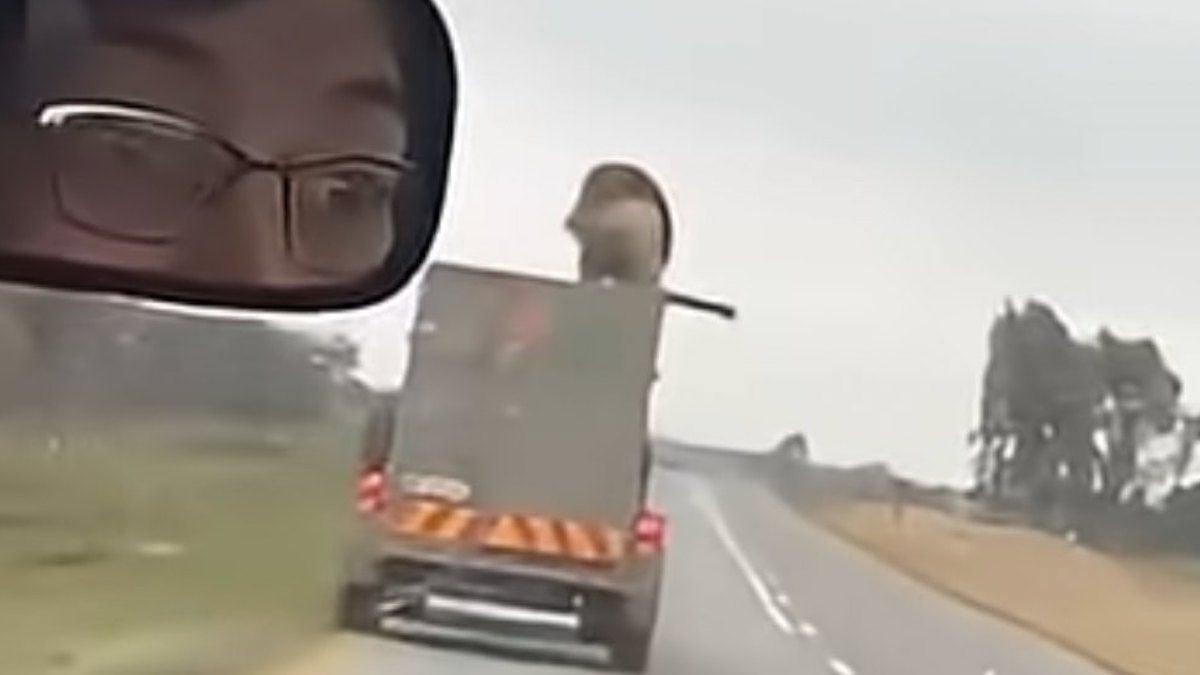 Capture d'écran montrant le lion perché sur le toit du véhicule 
