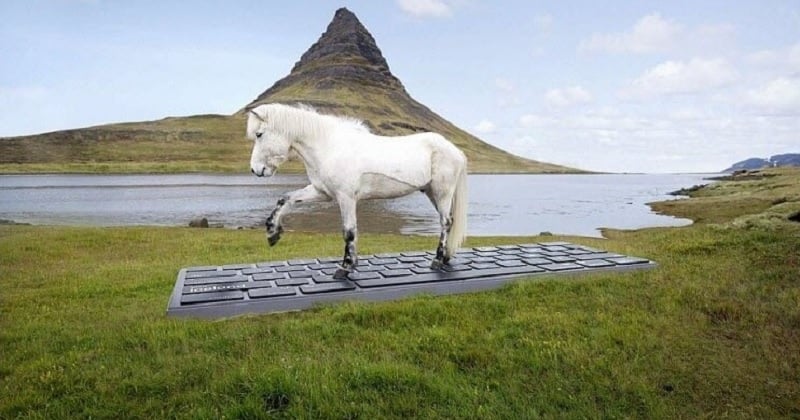 Engagez des chevaux islandais pour répondre à vos emails pendant vos vacances
