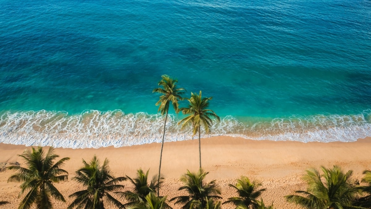 Cette plage vient d'être élue la plus belle du monde, mais on vous déconseille d'y mettre les pieds 