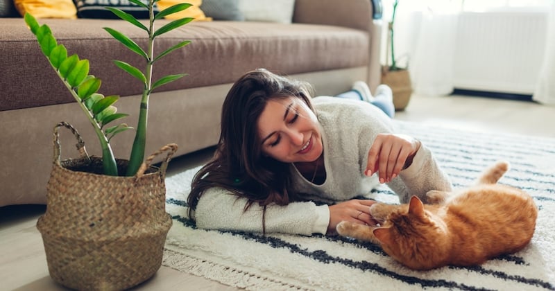 7 signes qui prouvent que votre chat est heureux à vos côtés 