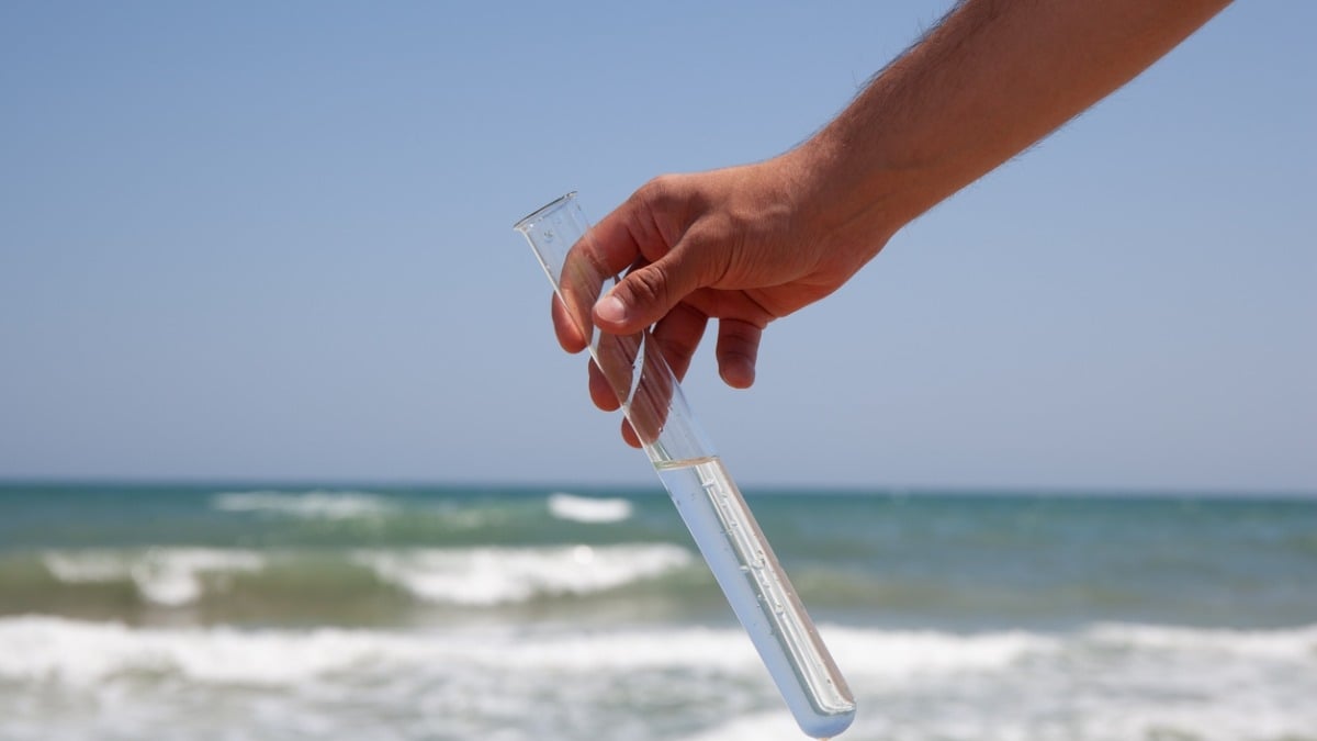 Les scientifiques confirment la présence d'une bactérie mangeuse de chair dans l'océan Atlantique