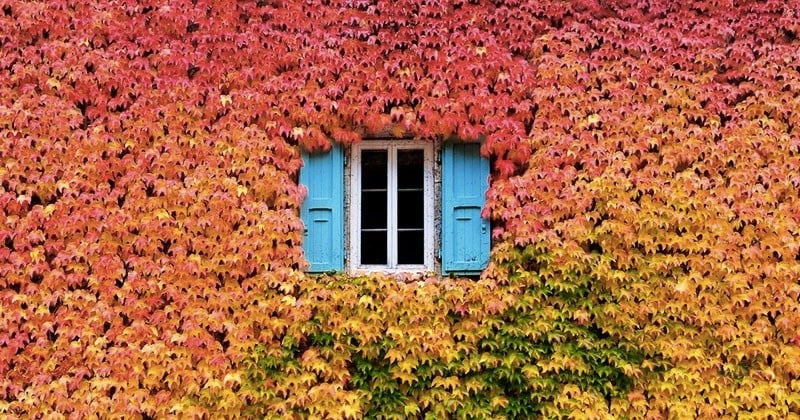 L'automne, cette saison aux couleurs chaudes, sait faire de nos habitations un lieu plus que chaleureux