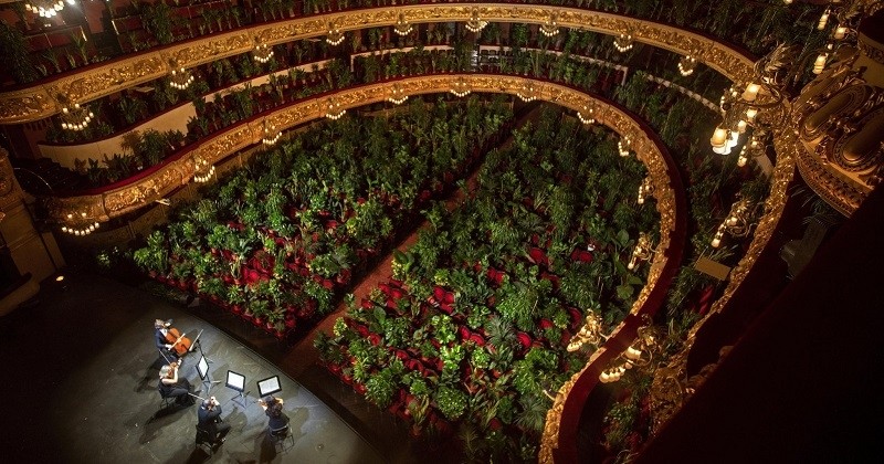 Plus de 2000 plantes ont servi de public lors d'un concert pour la réouverture de l'opéra de Barcelone