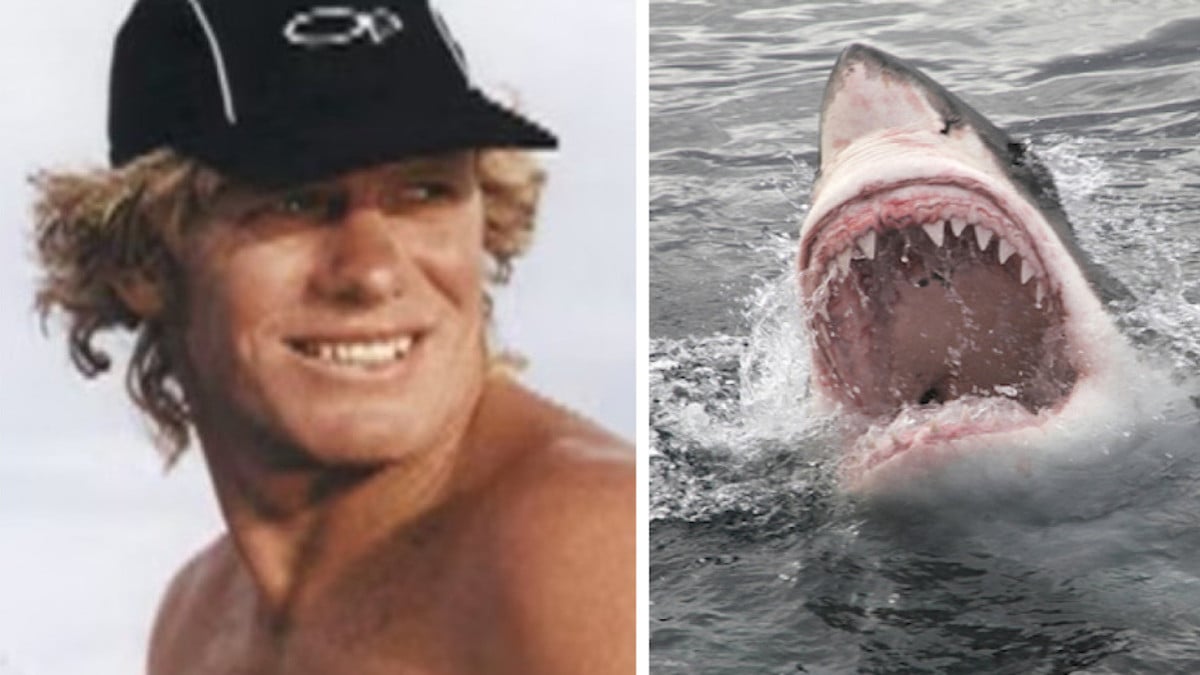 Un surfeur coupé en deux par 2 requins géants lors d'une attaque coordonnée terrifiante 