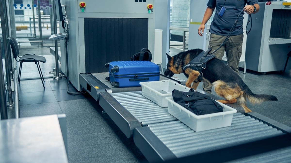 Un touriste pourrait finir en prison à cause de cet objet anodin trouvé dans sa valise à l'aéroport