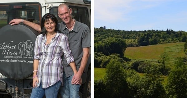 Les vieux éléphants de cirque pourront bientôt finir leurs jours dans un sanctuaire dédié qui va ouvrir... dans le Limousin !